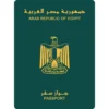 Pack 15 stickers « Coming Home »