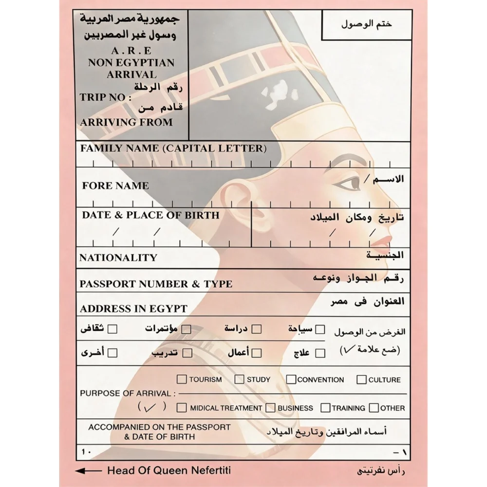 Pack 15 stickers « Coming Home »