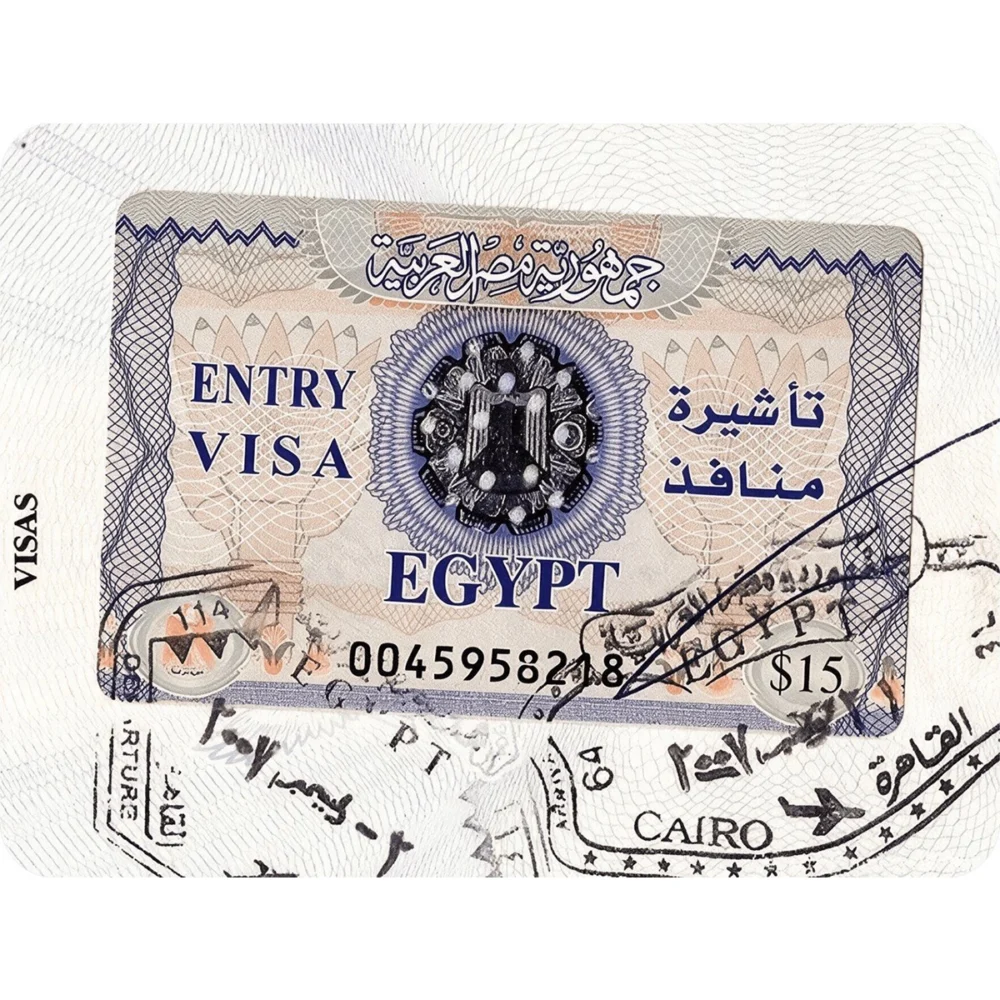 Pack 15 stickers « Coming Home »